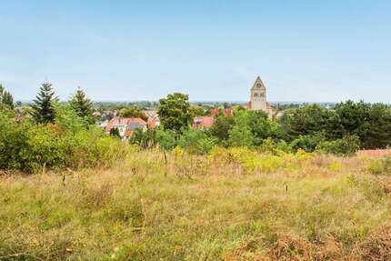 Grundstück zu verkaufen in Wriezen 69.000,00 € 1200 m²