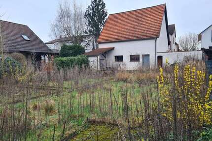 Haus zum Kaufen in Erzhausen 385.000,00 € 110 m²
