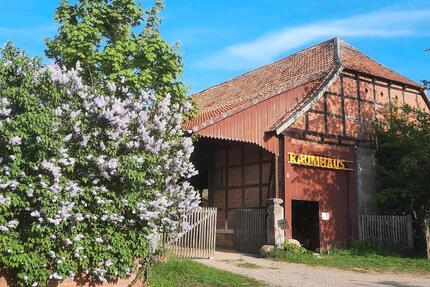 Zwei-Zimmer-Wohnung in Hofgemeinschaft - Springe