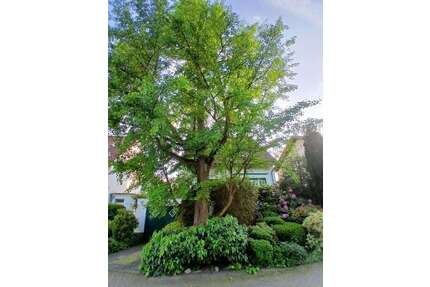 Haus zum Kaufen in Bergisch Gladbach 719.000,00 € 152 m²