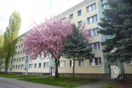3 Raum-Wohnung mit Balkon in Nord - Staßfurt