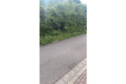 Baugrundstück in Zweibrücken Wattweiler in bester Wohnlage