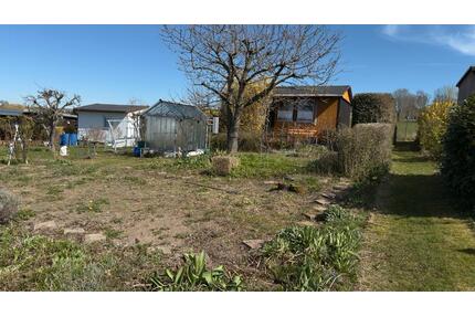 Pachtgarten in Chemnitz Euba abzugeben