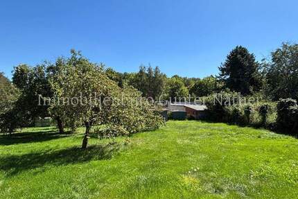 Haus in Nobitz Ehrenhain - 45.000,00&nbsp;EUR Kaufpreis, ca.&nbsp; 100,00&nbsp;m&sup2;&nbsp;Wohnfl&auml;che in Nobitz / Ehrenhain (PLZ: 04603)
