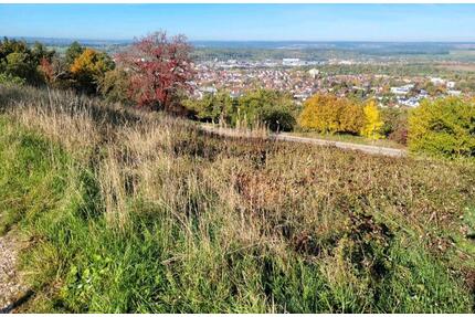 Garten in Metzingen Falkenberg Gütle Freizeit Reutlingen