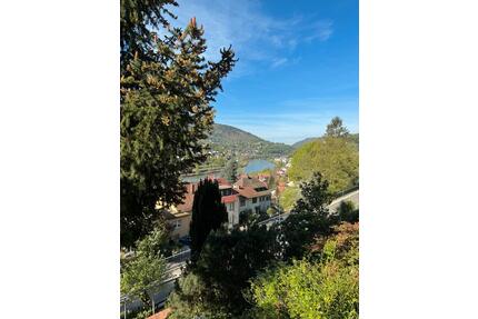 Möblierte 1-Zimmer-Wohnung mit wunderschönem Neckarblick - Heidelberg Peterstal