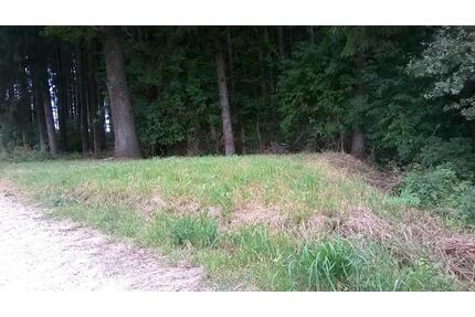 Kleines Grundstück am Waldrand zu vermieten,Bienenstandort - Vilsbiburg