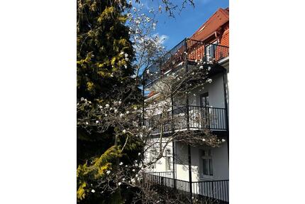 Hochwertig-sanierte 4-Raum-Wohnung mit 2 Balkonen in Stadtvilla - Freiberg