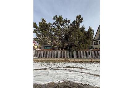 Grundstück zu verkaufen in Panketal 260.000,00 € 927 m²