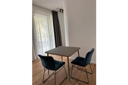 +++ Möbliertes Einzimmerapartment +++ - Berlin Pankow