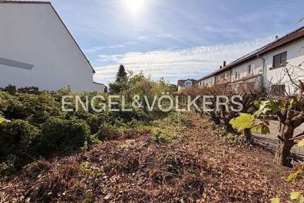 Grundstück zu verkaufen in Limburgerhof 410.000,00 € 593 m²