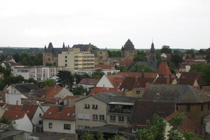 Freundliche 2-Zimmer-Dachgeschosswohnung in Alzey