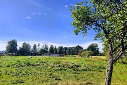 Grundstück zu verkaufen in Neukalen 229.000,00 € 14715 m²