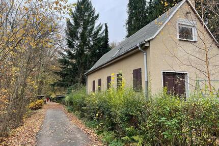 Sommerhaus - 39.999,00&nbsp;EUR Kaufpreis, ca.&nbsp; 100,00&nbsp;m&sup2; in Döbeln (PLZ: 04720)