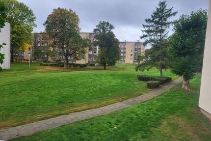 Wohnung zum Kaufen in Salzgitter 89.000,00 € 65 m²