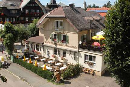 Haus zum Kaufen in Titisee-Neustadt 1.995.000,00 € 298.05 m²