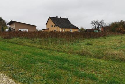 Lagerplatz, Feld, Wiese zu verpachten nähe Bachl - Abensberg