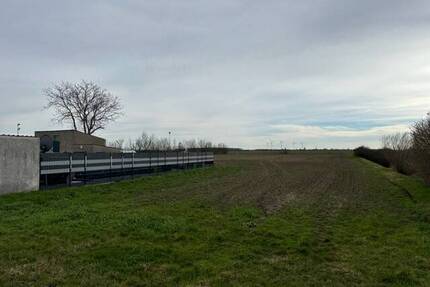 +++ Großes Baugrundstück in Nempitz +++ - Bad Dürrenberg