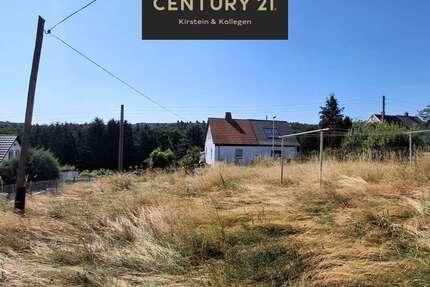 Grundstück zu verkaufen in Weida 59.000,00 € 320 m²