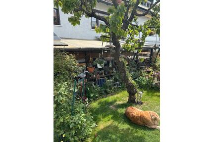 Schönes Reihenhaus - 599.000,00&nbsp;EUR Kaufpreis, ca.&nbsp; 140,00&nbsp;m&sup2; in Ulm (PLZ: 89075) Obertalfingen