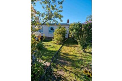 Kleingarten in Söllichau - 1.800,00&nbsp;EUR Kaltmiete, ca.&nbsp; 0,00&nbsp;m&sup2; in Bad Schmiedeberg (PLZ: 06905)