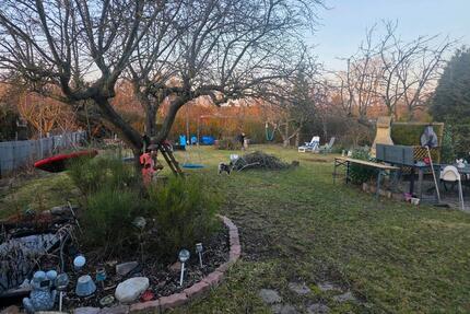 Kleingarten Schrebergarten für Familien geeignet - Ilsenburg (Harz)
