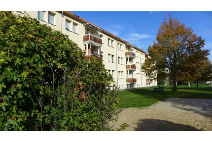 Ideal für junge Familie mit Kind - Borna
