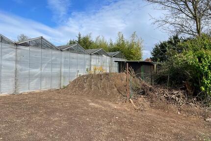 Gärtnerei Freilandfläche Gewächshaus in Dormagen-Delhoven - Köln Kalk