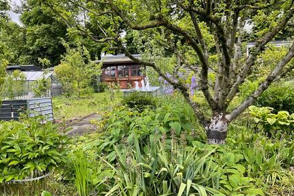 Kleingarten abzugeben - 2.800,00&nbsp;EUR Kaltmiete, ca.&nbsp; 0,00&nbsp;m&sup2; in Aachen (PLZ: 52074) Aachen-Mitte