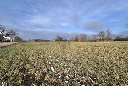 Grundstück in Raddestorf 98.000,00 € 16420 m²