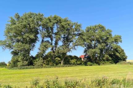 Haus zum Kaufen in Varel 165.000,00 € 178.16 m²