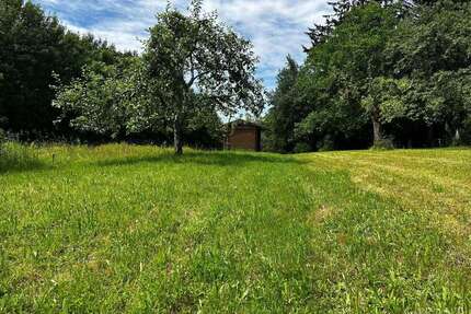 Grundstück zu verkaufen in Baden-Baden 19.800,00 € 1079 m²