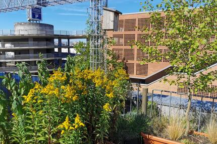 City-Maisonettewohnung mit Dachterrasse in Meernähe - Wilhelmshaven