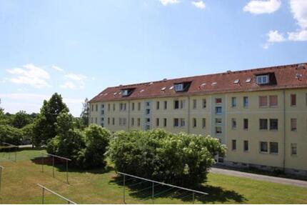 Gut geschnittene 3-Raum-Wohnung mit Einbauküche in gepflegtem Mehrfamilienhaus - Meuselwitz