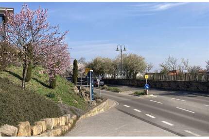 Zwei Häuser mit Weinbergsblick - sanierungsbed. Schmuckstück - Herxheim am Berg