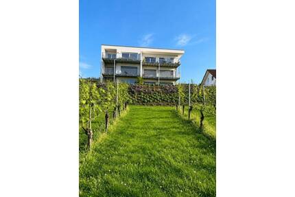 Wohnen mit Weitblick - 1.280,00&nbsp;EUR Kaltmiete, ca.&nbsp; 73,70&nbsp;m&sup2;&nbsp;Wohnfl&auml;che in Bad Bellingen (PLZ: 79415) Bamlach