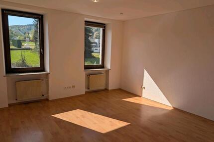 Singlewohnung - 360,00&nbsp;EUR Kaltmiete, ca.&nbsp; 45,00&nbsp;m&sup2; in Losheim am See (PLZ: 66679)