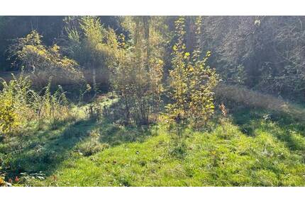 Ihr Wohntraum beginnt hier! - 85.000,00&nbsp;EUR Kaufpreis, ca.&nbsp; 0,00&nbsp;m&sup2; in Freital (PLZ: 01705) Weißig