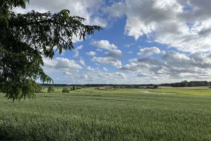 Grundstück zu verkaufen in Dettmannsdorf 69.500,00 € 1188 m²