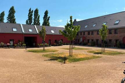 Wohnung zum Mieten in Elsdorf 530,00 € 41 m²