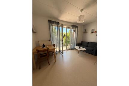 3-Zimmer Wohnung, Erstbezug nach Sanierung - Annweiler am Trifels