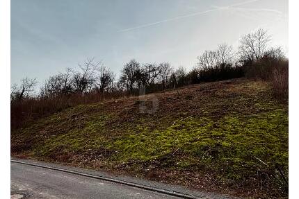 SONNENVERWÖHNTE 839 QM MIT AUSSICHT - Welschbillig