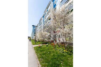 Wohnung zum Mieten in Chemnitz 294,00 € 56.29 m²