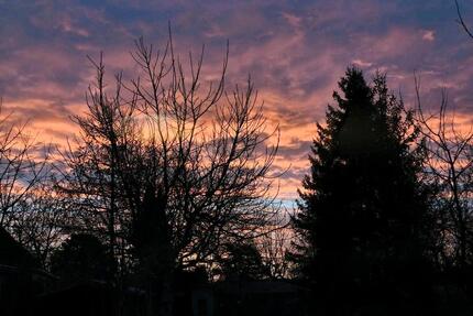 Wohnung bei Hilfe anzubieten (ELW 575€ warm) - Neustadt in Holstein