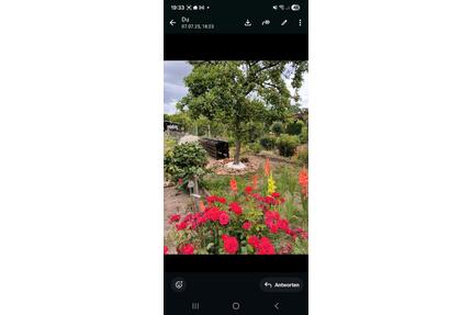 Garten in Pritzwalk ab Ende Juli abzugeben