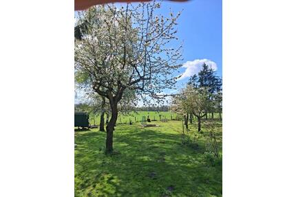 Doppelhaushälfte im Grünen - 228.000,00&nbsp;EUR Kaufpreis, ca.&nbsp; 150,00&nbsp;m&sup2; in Dorf Mecklenburg (PLZ: 23972)