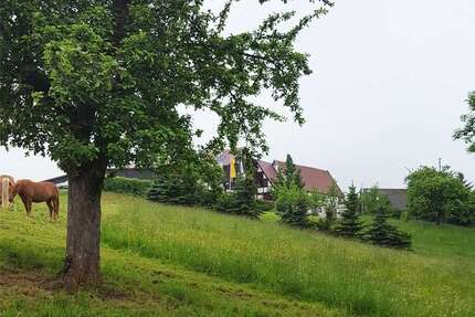 Grundstück zu verkaufen in Dorfhain 95.000,00 € 1700 m²