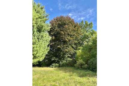 Grundstück zu verkaufen in München 1.190.000,00 € 625 m²