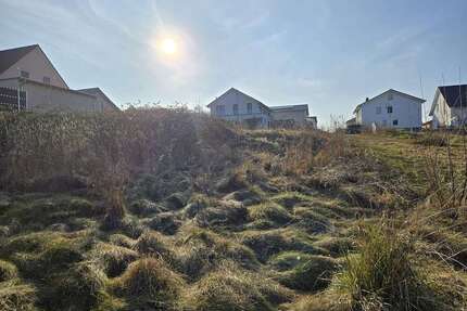 Grundstück zu verkaufen in Langenlonsheim 288.000,00 € 832 m²