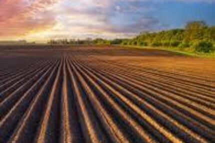 Ackerfläche zu verpachten 130 ha - Eldetal